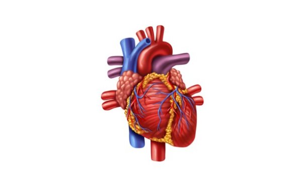 Miocardia post-infartuale